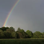 arc en ciel sur prairie